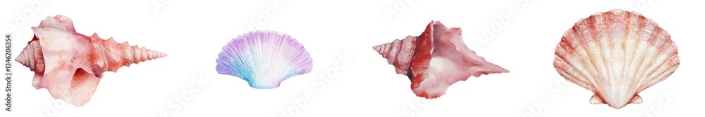 Poster an isolated white background is the setting for a watercolor painting of seashells created by hand