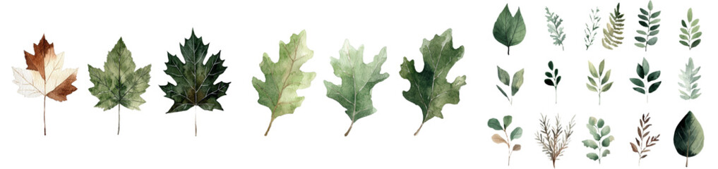 Hand drawing of autumn leaves in watercolor, featuring a collection of elements against a white background
