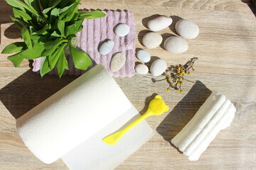 open book with fresh herbs