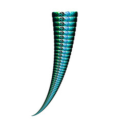 lizard tail shape
