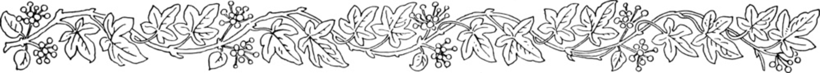 Elegant 1800s Vintage Nature Borders with Floral and Leaf Patterns