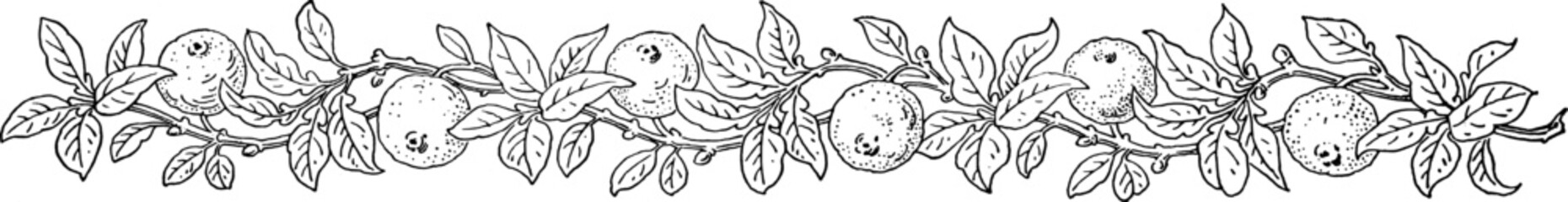 Elegant 1800s Vintage Nature Borders with Floral and Leaf Patterns