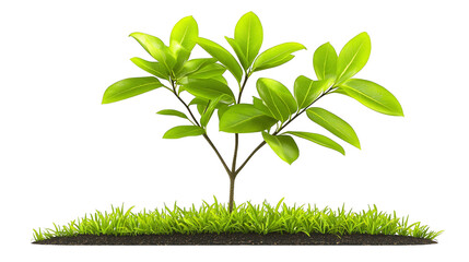 Vibrant green leaves flourishing in nature, acloseup of lush foliage and plant growth