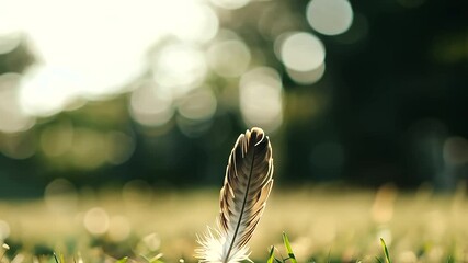 Independence Day Eagle Feather on Veteran's Grave