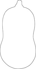 Butternut squash line art