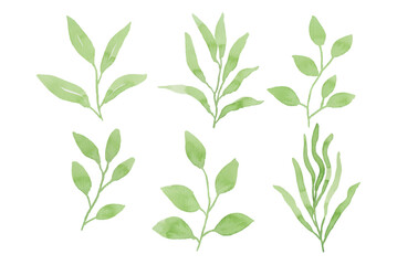 Assortment of watercolor leaves illustration set - green leaf branches collection for wedding, greetings, stationary, wallpapers, fashion, background. olive, green leaves, Eucalyptus etc