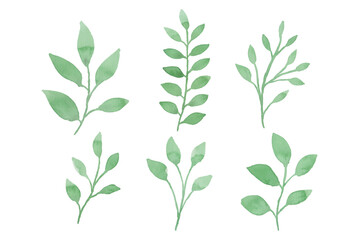 Assortment of watercolor leaves illustration set - green leaf branches collection for wedding, greetings, stationary, wallpapers, fashion, background. olive, green leaves, Eucalyptus etc