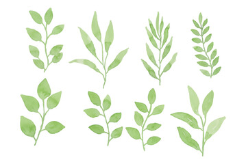 Assortment of watercolor leaves illustration set - green leaf branches collection for wedding, greetings, stationary, wallpapers, fashion, background. olive, green leaves, Eucalyptus etc