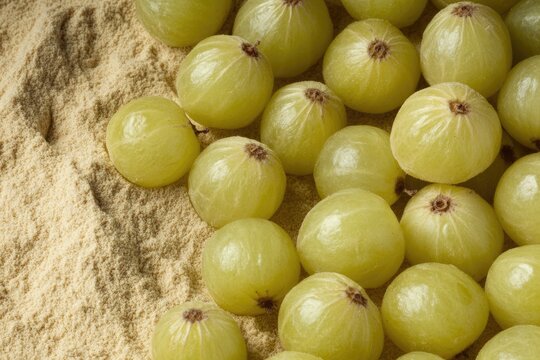 Amla Powder. Ayurvedic Alternative Medicine with Raw Avla Gooseberry on Natural Background