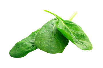 Szpinak, roślina, świeży, zielony. Bez tła, na białym tle.