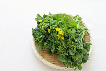 新鮮な菜の花　食用