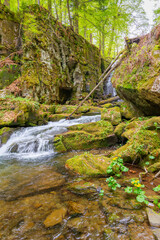 landscape with river among rock in forest. clear water stream in nature green environment. beautiful natural park scenery near wild waterfall in spring