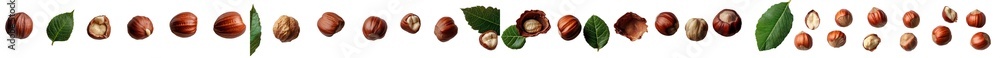 Poster the image depicts a hazelnut arrangement set against a white background, with both whole and broken 
