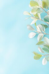 Fototapeta premium Close-up plants banner