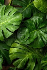 Close-up plants banner