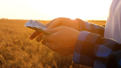 Close up of farmer hands counting money. farmer expenses in agribusiness, wheat field. Financial...