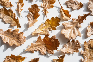 Pattern From Fallen Natural Leaves.