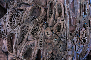 Incredible erosion patterns on rocks along the shore, Thailand