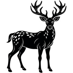 A Deer Silhouette Unveiled