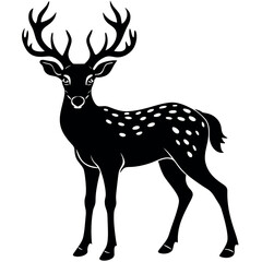 A Deer Silhouette Unveiled