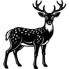 A Deer Silhouette Unveiled