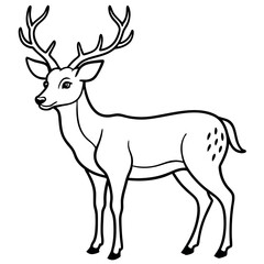 A Deer Silhouette Unveiled