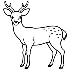 A Deer Silhouette Unveiled