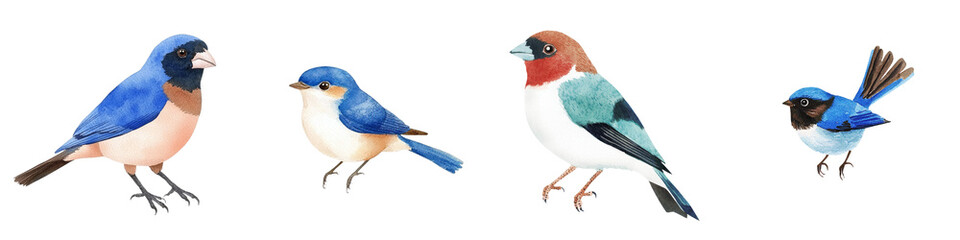 Obraz premium Blue birds, including the blue-headed astrild, are shown in isolation on a white background, painted using a traditional hand-painted watercolor method
