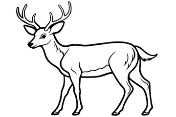 A Deer Silhouette Unveiled