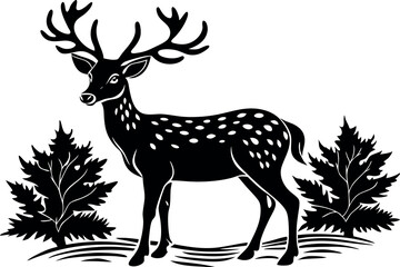 A Deer Silhouette Unveiled