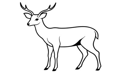 A Deer Silhouette Unveiled