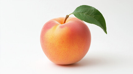 Professional photography style. peach, front view, centered. Plain white background.