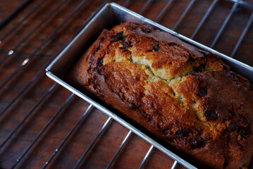 Homemade Chocolate Banana Cake in a Baking Container