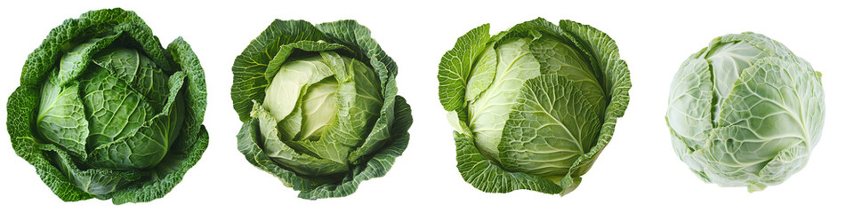Fototapeta premium On a clear background, a solitary cabbage is displayed, the result of Generative Ai image creation