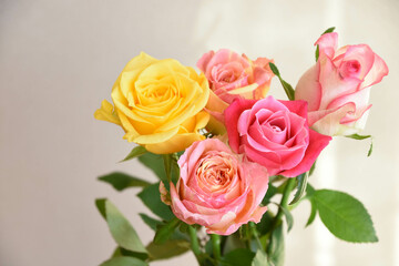 ピンクと黄色のばら