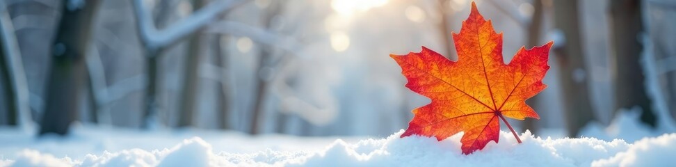 Single large maple leaf against snowy background, nature, winter, fall leaf