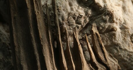 Aged wood and Rock Surface with Shadows