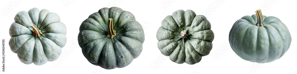 Poster An isolated green pumpkin on a transparent background was generated using stock technology called Generative Ai