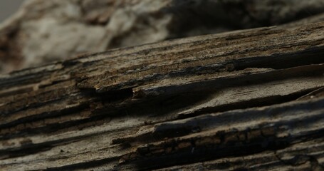 Close-Up of Splintered and Weathered Wood Layers