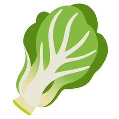 Bok Choy
