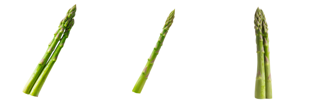 On a transparent background, an image of isolated fresh green asparagus has been generated by Generative Ai