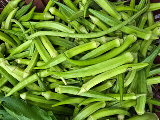 Fresh Okra Display at a Local Market