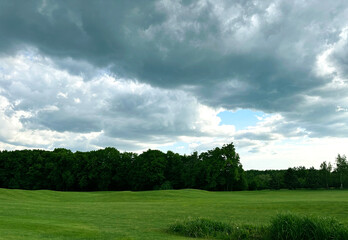 green field and blue sky