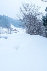雪が積もった氷ノ山の棚田の風景 鳥取県 氷ノ山