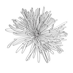 christmas snowflake isolated on white