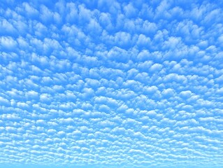 Obraz premium The vast blue sky filled with fluffy clouds provides a nice view