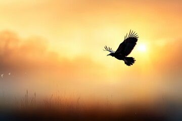 Fototapeta premium Beautiful vulture banner