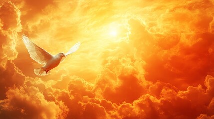 Generic Vibrant Orange Overview Dove High Resolution