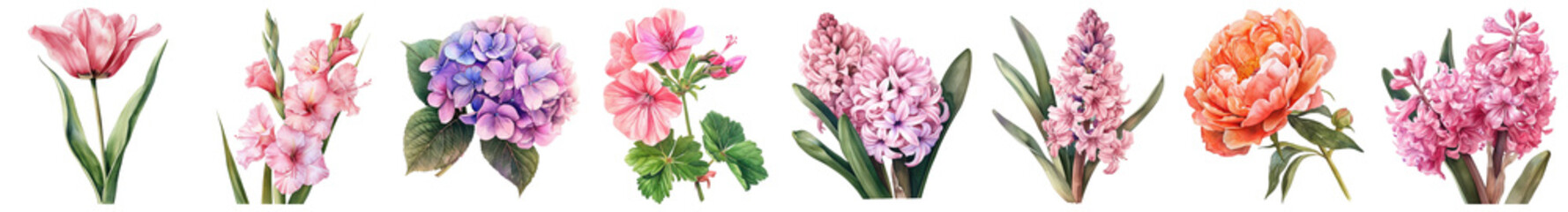 Beautiful Collection of Colorful Flowers with Vibrant Petals Displaying Nature's Splendor in a...