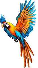Fototapeta premium Vibrant Tropical Bird Illustration A Colorful Flying Macaw Parrot Isolated with Transparent Background a Detailed Graphic Design Element for Decorative Art